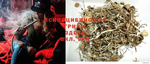 spice Абаза