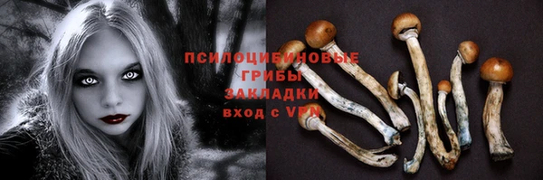 a pvp Абдулино