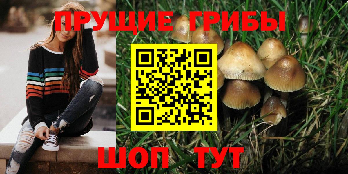 Кохма  Псилоцибиновые грибы GOLDEN TEACHER  Вход с VPN 