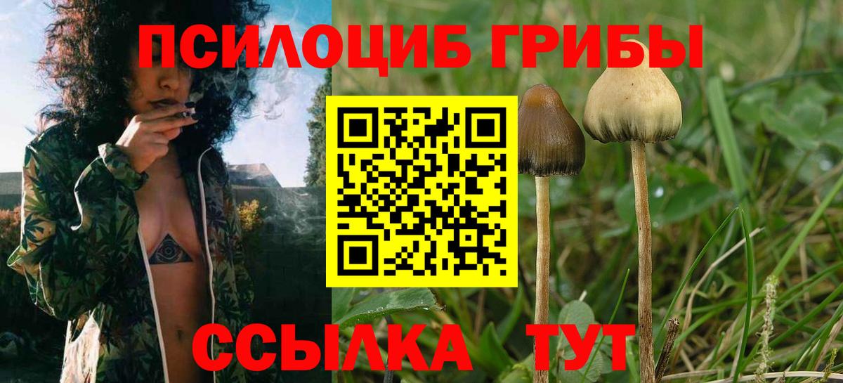 Галлюциногенные грибы мухоморы Кохма