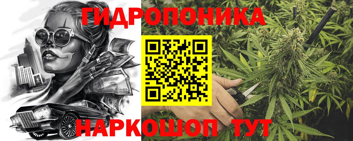 МАРИХУАНА SATIVA & INDICA Кохма